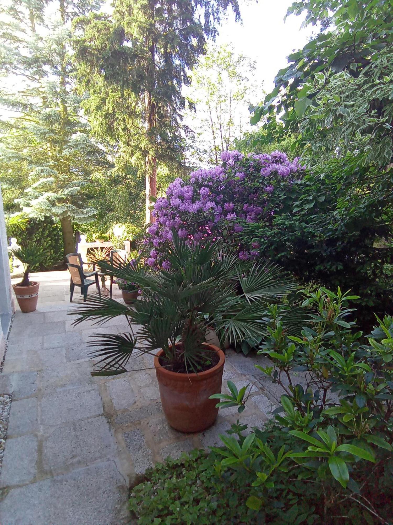 Pension Baron Schoeneck Karlovy Vary Esterno foto