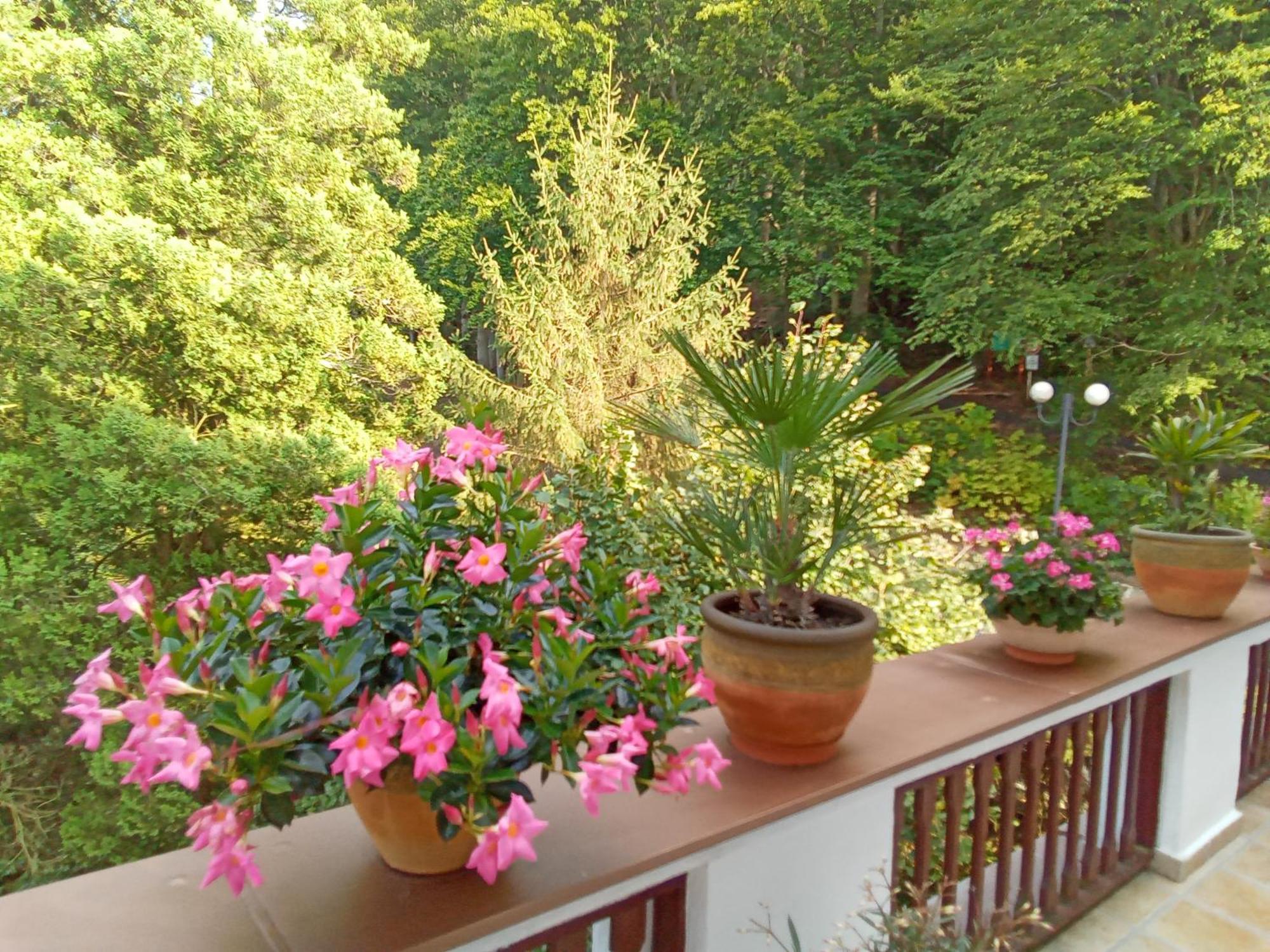 Pension Baron Schoeneck Karlovy Vary Esterno foto
