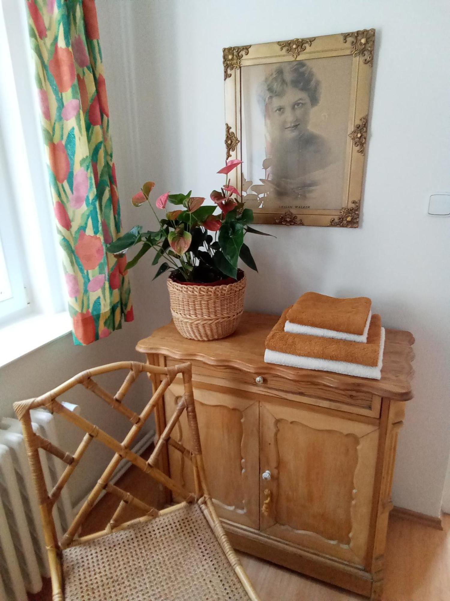Pension Baron Schoeneck Karlovy Vary Esterno foto