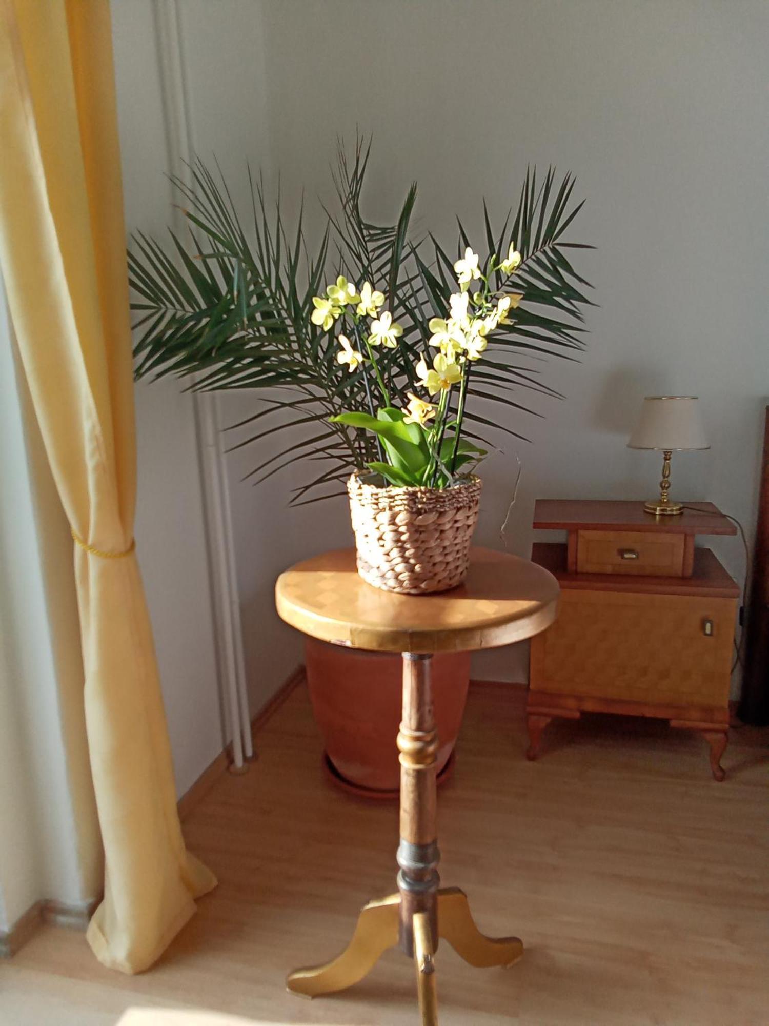Pension Baron Schoeneck Karlovy Vary Esterno foto